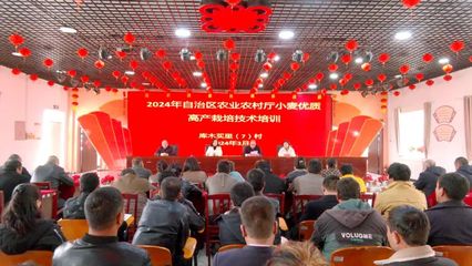 新疆新農人丨拜城:農技培訓到地頭 穩糧增產促增收